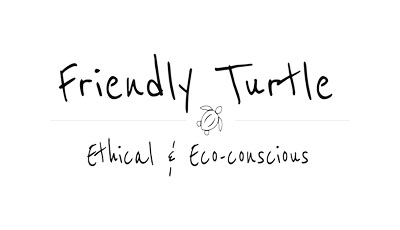 Friendly Turtle