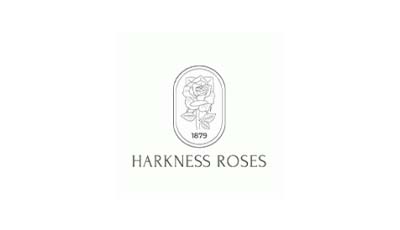 Harkness Roses