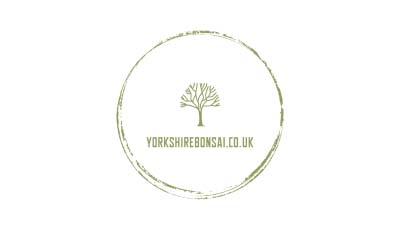 Yorkshire Bonsai